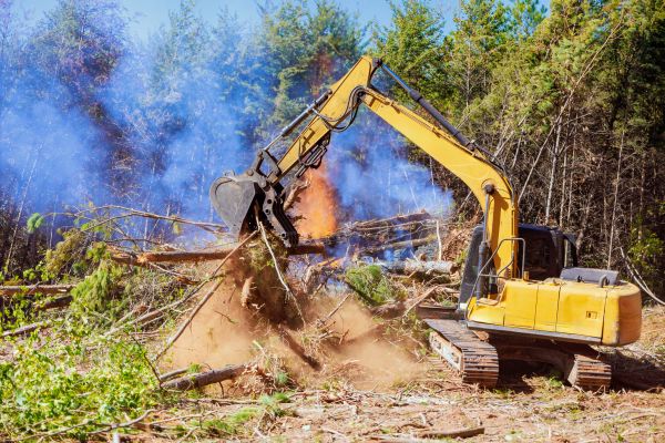 Lakeland Land Clearing