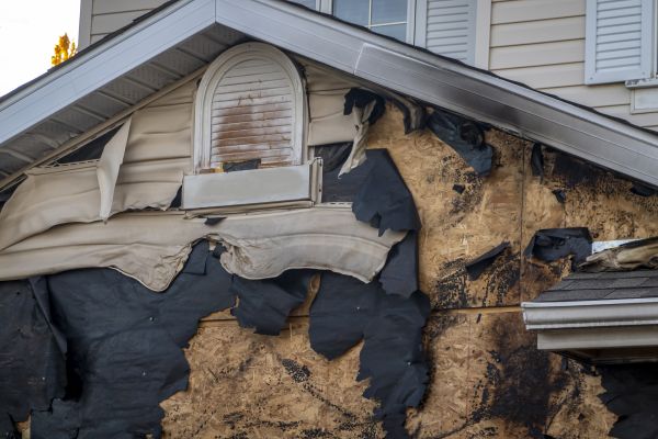 Lakeland Fire Restoration